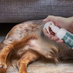 Dew Pet, Spray Φροντίδας-Επούλωσης Πληγών, για Κατοικιδια, 250ml
